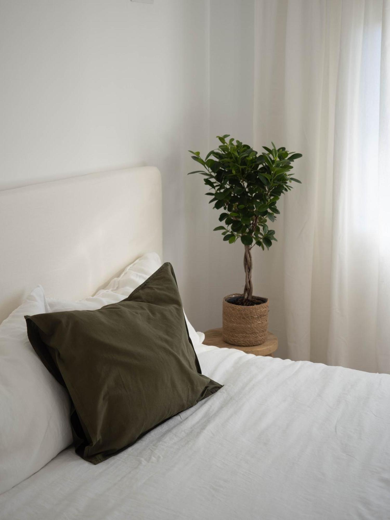 Luxury Apartment In Valencia City Center 外观 照片